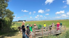 Slootonderzoek